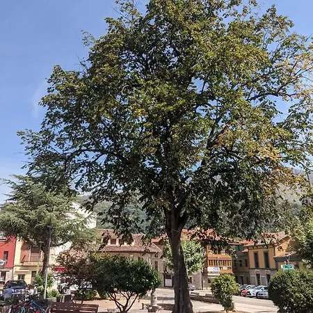 La Plaza 호텔